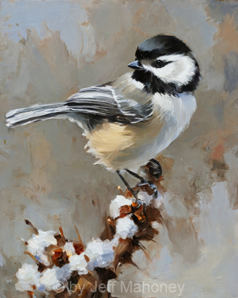 Black-capped-Chickadee-Winter