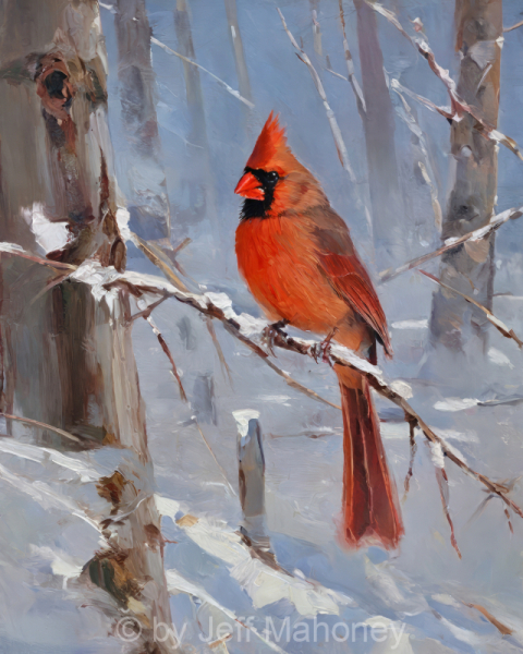 Northern-Cardinal-Winter