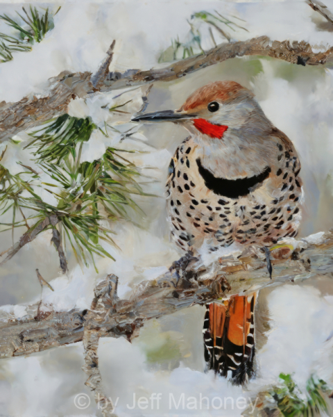 Northern-Flicker-Winter