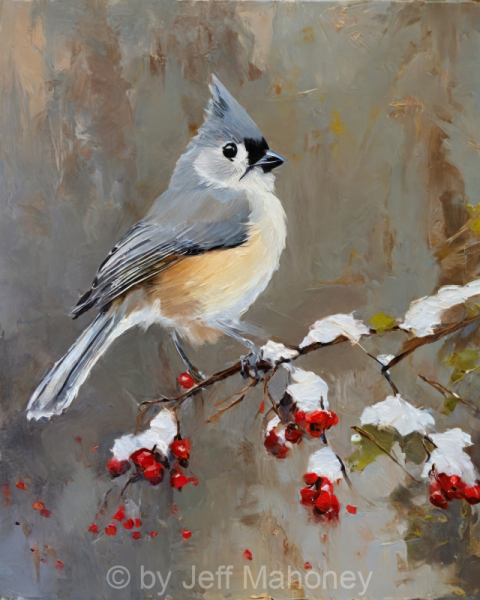 Tufted-Titmouse-Winter