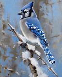 Blue-Jay-Winter