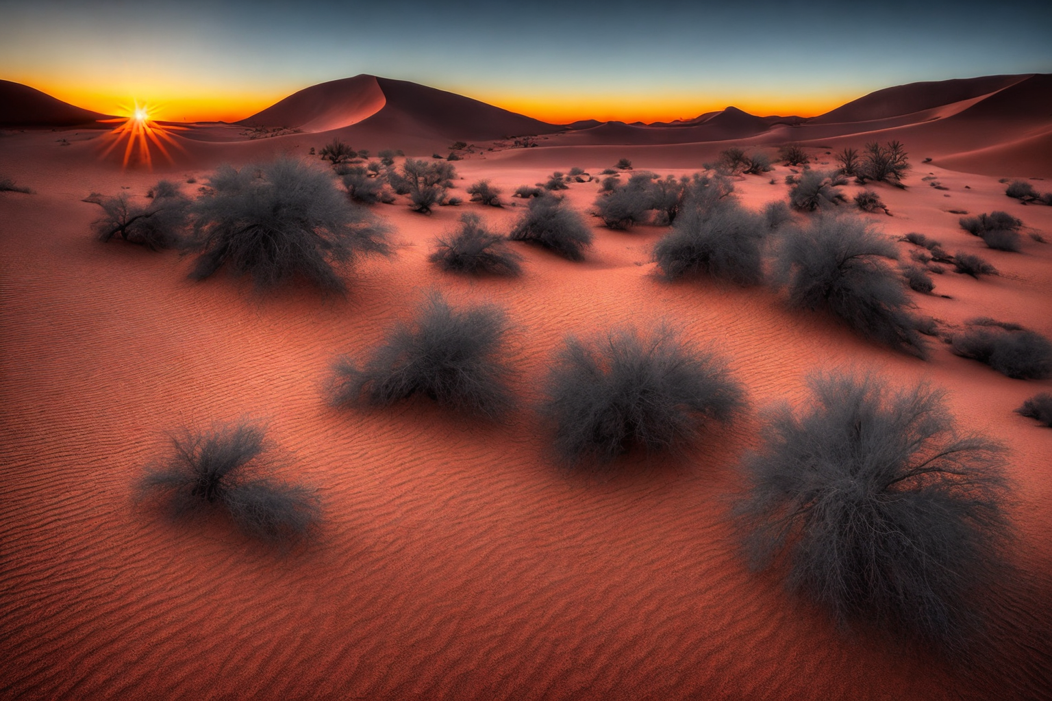 Desert Dusk